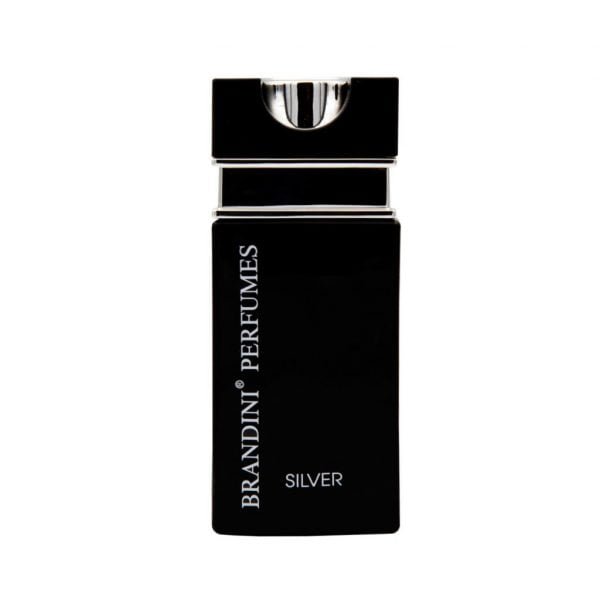 عطر جیبی مردانه Silver برندینی