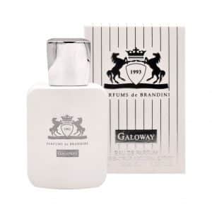 عطر جیبی مردانه Galoway برندینی