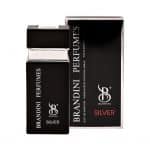 عطر جیبی مردانه Silver برندینی