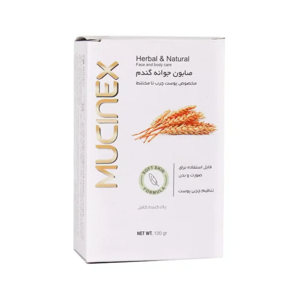 صابون جوانه گندم ماسینکس 120 گرم - 1