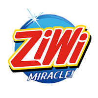 زی وی