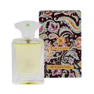 عطر جیبی مردانه برندینی مدل Bracken حجم 33 میلی لیتر