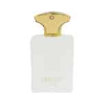 عطر جیبی مردانه برندینی مدل Honour حجم 33 میلی لیتر