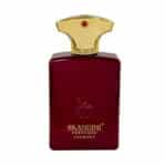 عطر جیبی مردانه برندینی مدل Journey حجم 33 میلی لیتر