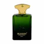 عطر جیبی مردانه برندینی مدل Epic