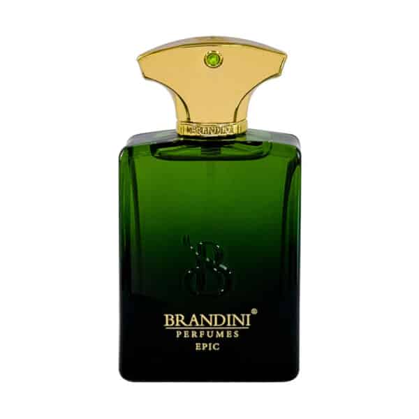 عطر جیبی مردانه برندینی مدل Epic