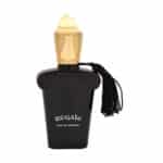 عطر جیبی زنانه و مردانه برندینی مدل Regale
