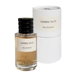 عطر جیبی زنانه و مردانه برندینی مدل Ambre Nuit